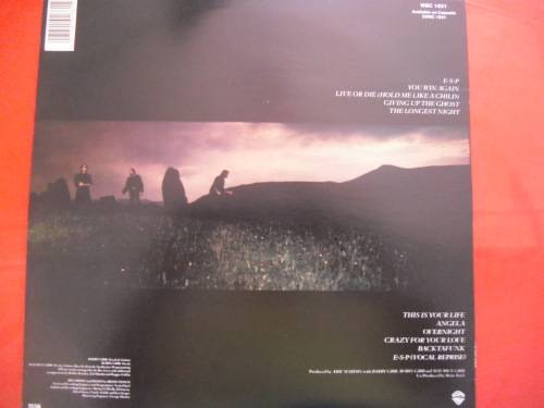 BEE GEES - E.S.P VINYL, LP, RECORD.